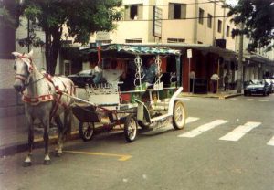 Passeio de Charrete em Caxambu